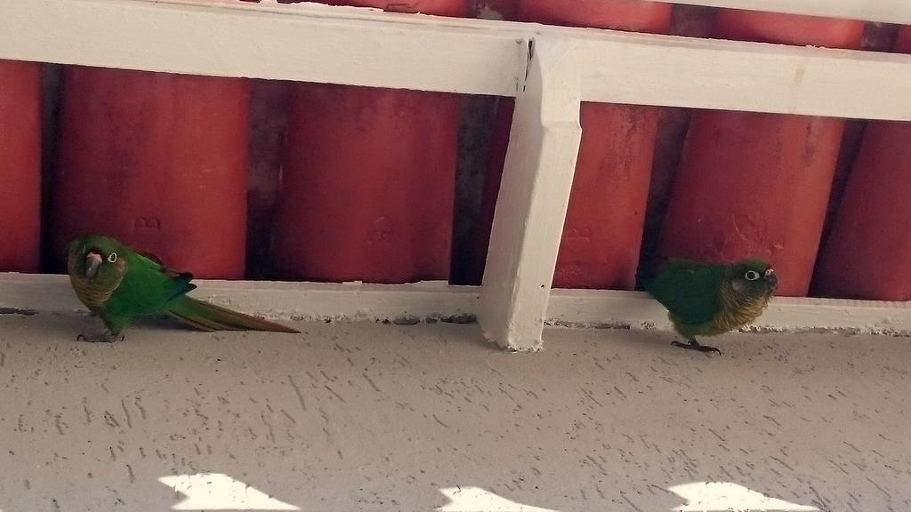 Gavea Bnb Rio de Janeiro Luaran gambar