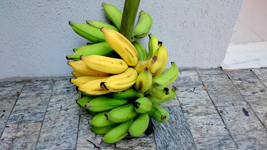 Gavea Bnb Rio de Janeiro Luaran gambar