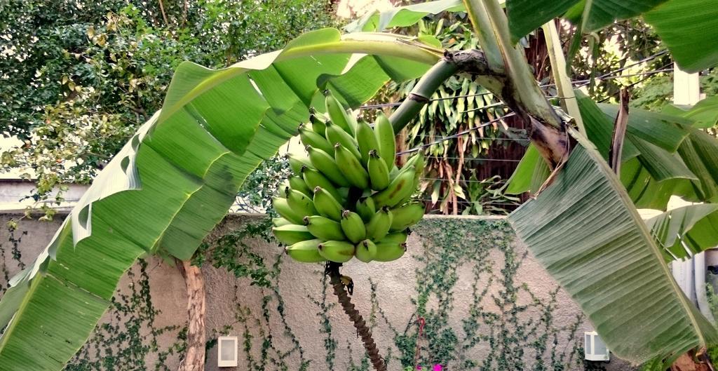 Gavea Bnb Rio de Janeiro Luaran gambar