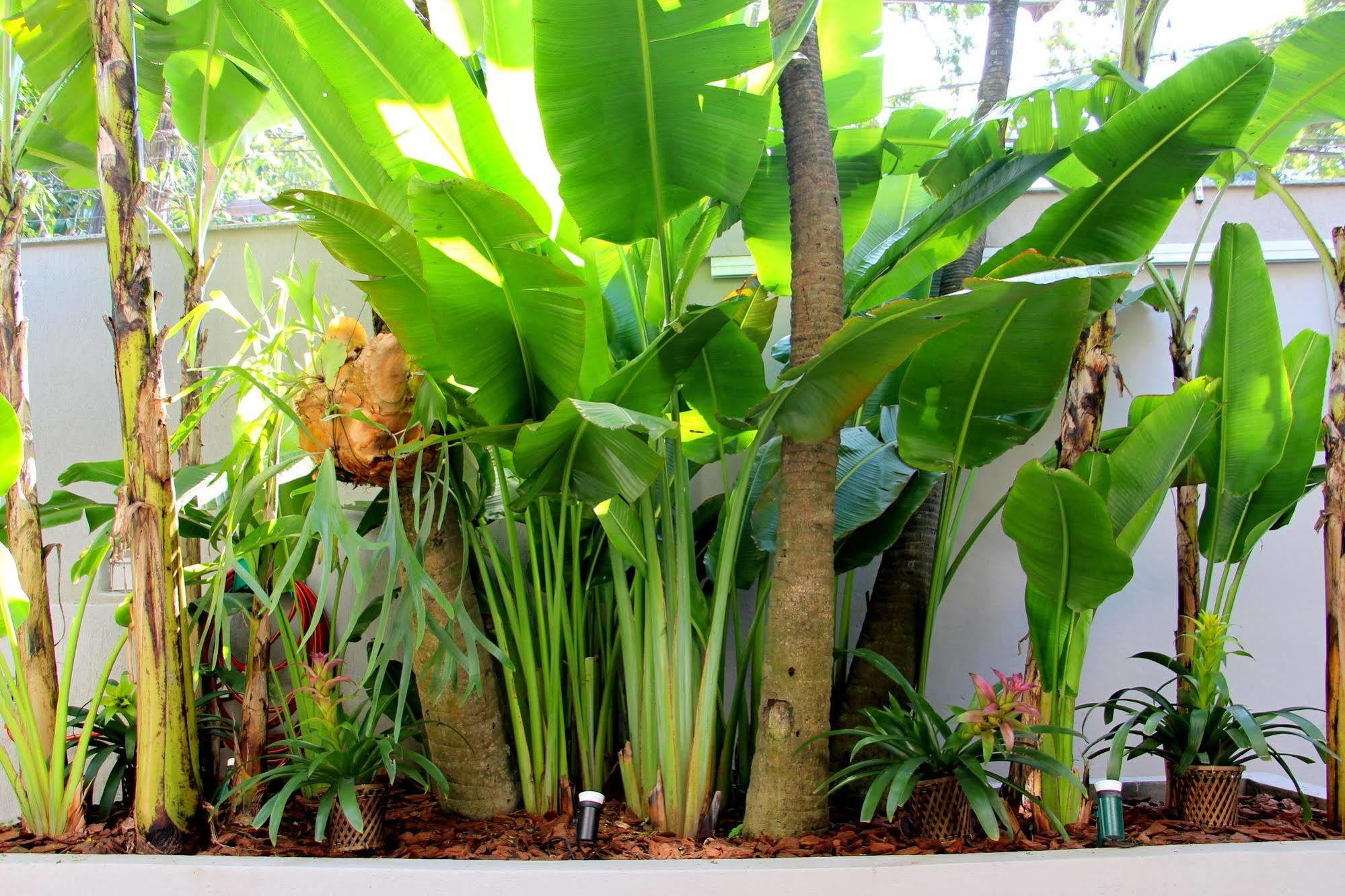 Gavea Bnb Rio de Janeiro Luaran gambar